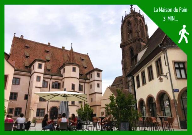 شقة Aux Plaisirs D'Alsace Centre Historique سليستا المظهر الخارجي الصورة