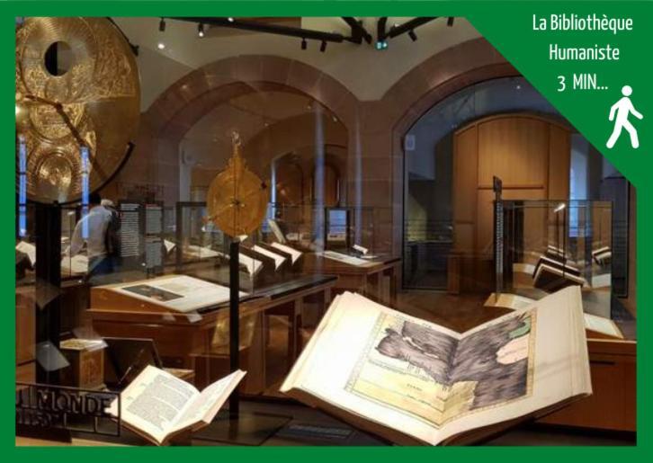 شقة Aux Plaisirs D'Alsace Centre Historique سليستا المظهر الخارجي الصورة